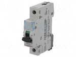 Circuit breaker | 230VAC | Inom: 1A | Poles: 1 | DIN | Charact: C | 6kA