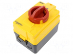 Main emergency switch-disconnector | Poles: 3 | flush mounting