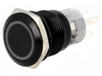 Switch: vandal resistant | Pos: 2 | SPDT | 0.5A/220VAC | 1A/24VDC | IP67