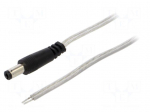 Cable | 2x0.5mm2 | wires,DC 5,5/2,5 plug | straight | transparent