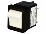 Circuit breaker | Urated: 240VAC | 60VDC | 15A | DPST | Poles: 2 | SNAP-IN