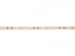 LED strip, 24V, 9.6W/m, 5mm width non-waterproof, warm white, 115lm/W, AKTO