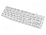 Keyboard | NAUTILUS | white | USB A | wired,slim,US layout | Len: 1.8m
