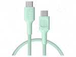 Cable | USB 2.0 | USB C plug,both sides | 0.3m | green | 480Mbps | 100W