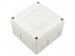 Enclosure: junction box | X: 111mm | Y: 66mm | Z: 111mm | wall mount