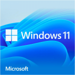 Microsoft Windows 11 Home (64-bit, French, DVD-ROM)