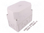 Enclosure: multipurpose | X: 110mm | Y: 180mm | Z: 165mm | TK PC | grey
