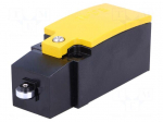 Limit switch | plastic roller &Oslash;9mm | NO + NC | 6A | max.400VAC | M20