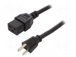 Cable | 3x14AWG | IEC C19 female,NEMA 5-15 (B) plug | PVC | 2.5m