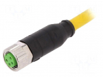 Cable: for sensors/automation | M8 | PIN: 4 | straight | 1.5m | plug