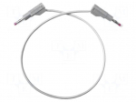 Test lead | 20A | banana plug 4mm,both sides | Urated: 1kV | Len: 0.6m