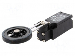 Limit switch | adjustable lever R 25-89mm, rubber roller&Oslash;50mm