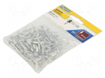 Rivet | aluminium | Rivet diam: 4mm | L.rivet: 8mm | 100pcs.