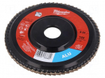 Flap grinding wheels | &Oslash;: 125mm | Granularity: 60 | aluminium,wood