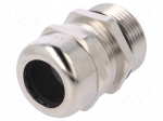 Cable gland | with long thread,with earthing | PG21 | IP68 | brass