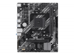 Asus | Processor family AMD A520 | Processor socket 1 x Socket AM4 | 2 DIMM slots - DDR4