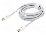 Cable | USB C plug,both sides | 2m | white | 100W