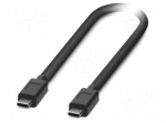 Cable | USB 3.2 Gen 2 | USB C plug,both sides | 1m | black | Cu | PVC