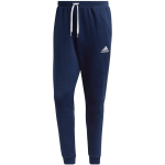 Men's pants adidas Entrada 22 Sweat Pant navy blue H57529 S
