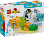 M&auml;nguala | PC | Konsoolid | Tarvikud // Harivad m&auml;nguasjad | Interaktiivsed | Loomingulised | Kunstilised // Klocki duplo 10442 rodziny dzikich zwierząt: pingwiny i lwy