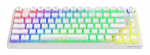 Keyboard Savio Wireless Mechanical Phenix White 75% Outemu Yellow Pro Pudding