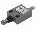 Limit switch | oblong metal roller &Oslash;12,4mm | SPDT | 5A | max.240VAC