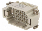 Connector: HDC | contact insert | male | 10A | 250V | PIN: 42 | 42+PE