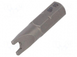 Screwdriver bit | spanner | SP10 | 1/4" | Overall len: 25mm | STANDARD