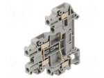 Splice terminal: rail | UTTB | 30A | 800V | for DIN rail mounting