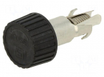 Fuse holder | 10A | 250VAC | black | UL94V-0 | thermoplastic | IP40