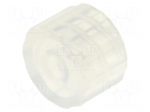 Adapter | transparent | Luer Lock