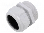 Cable gland | without nut | M75 | 2 | IP68 | polyamide | light grey
