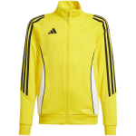 Sweatshirt for kids adidas Tiro 24 Training yellow IR9507 128cm