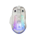 Baracuda ANGLERFISH-W BGM-062, White