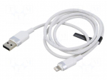 Cable | USB 2.0 | Apple Lightning plug,USB A plug | nickel plated