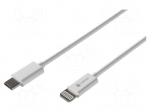 Cable | USB 2.0 | Apple Lightning plug,USB C plug | 2m | white | 20W