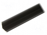 Profiles for LED modules | black | 1m | CABI12 DUO E | aluminium