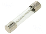 Fuse: fuse | 6.3x32mm | cylindrical,glass | 2A | 250VAC | time-lag | MDL