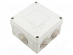 Enclosure: junction box | X: 111mm | Y: 66mm | Z: 111mm | wall mount
