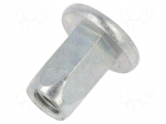 Rivet nuts | 10pcs | Alfa Romeo,Fiat,Lancia | OEM: 7677561