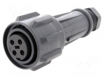 Connector: circular | plug | female | PIN: 4 | EXPlora | Contacts: brass
