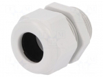 Gland | M25 | IP68 | 13&divide;18mm | Mat: thermoplastic | grey