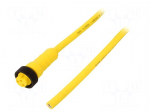 Cable: for sensors/automation | 7/8&rdquo; | PIN: 3 | straight | 3m | plug