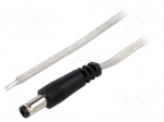 Cable | 2x0.5mm2 | wires,DC 5,5/2,5 plug | straight | transparent | 5m