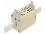 Fuse: fuse | 250A | 690VAC | 250VDC | gG | ceramic,industrial | NH2
