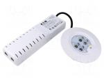 Lamp: LED emergency luminaire | RoundTech | IP65 | white | 1.1W | 200lm