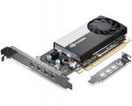 Graphic card / Video cards Lenovo  Graphics Card   T1000 NVIDIA, 8 GB, T1000, GDDR6, PCIe 3.0 x 16