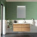 Mirrors&More Thekla spogulis with LED-light 50 x 70 cm spogulis glass IP44 2470100 4251820311036