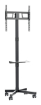TV SET ACC FLOOR STAND 32-55"/TVS-55T-03 GEMBIRD