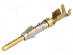 Contact | male | 18AWG&divide;16AWG | CB | gold-plated | crimped | bulk | 10A